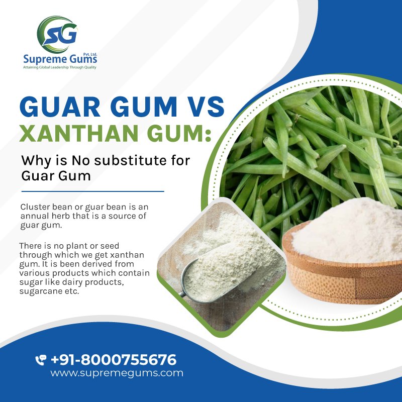 Guar Gum Vs Xanthan Gum: Why is No substitute for Guar Gum